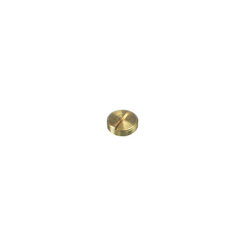 Brass Slotted Threaded Plug for 20mm Conduit